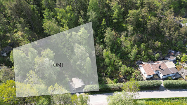 Tomten