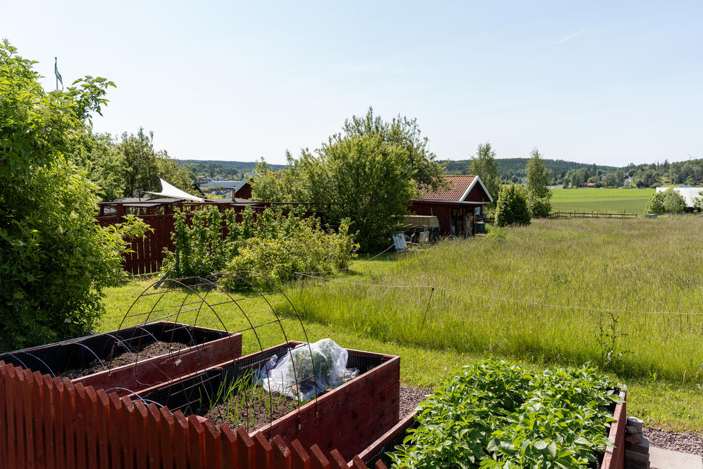 Köksträdgård