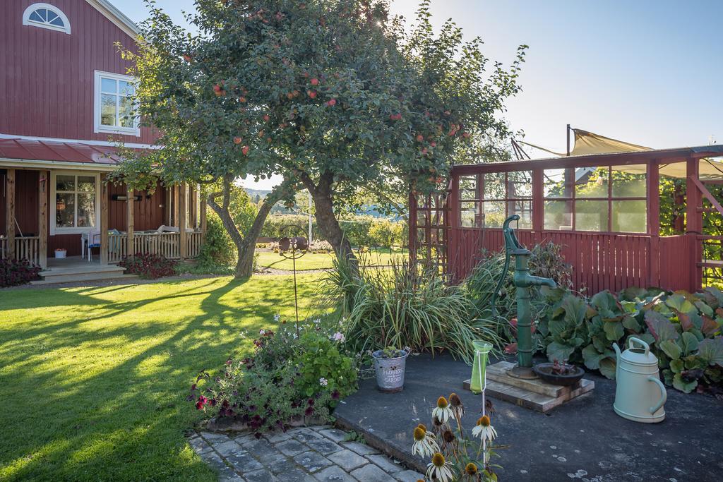 Bilder från sensommaren