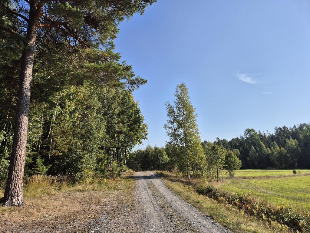 Vägen till skifte 1
