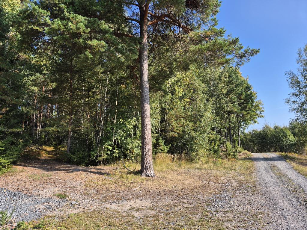 Vägen till skifte 1