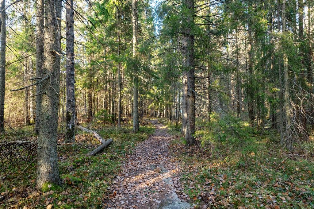 Vägen till skifte 1