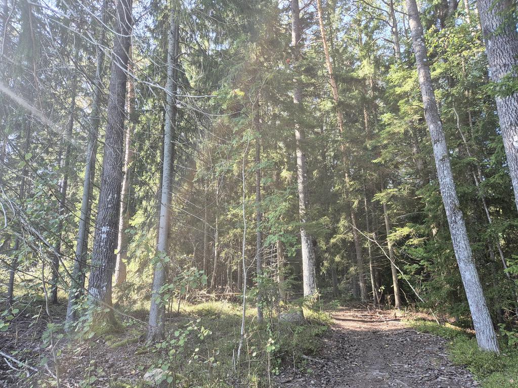 Vägen till skifte 1