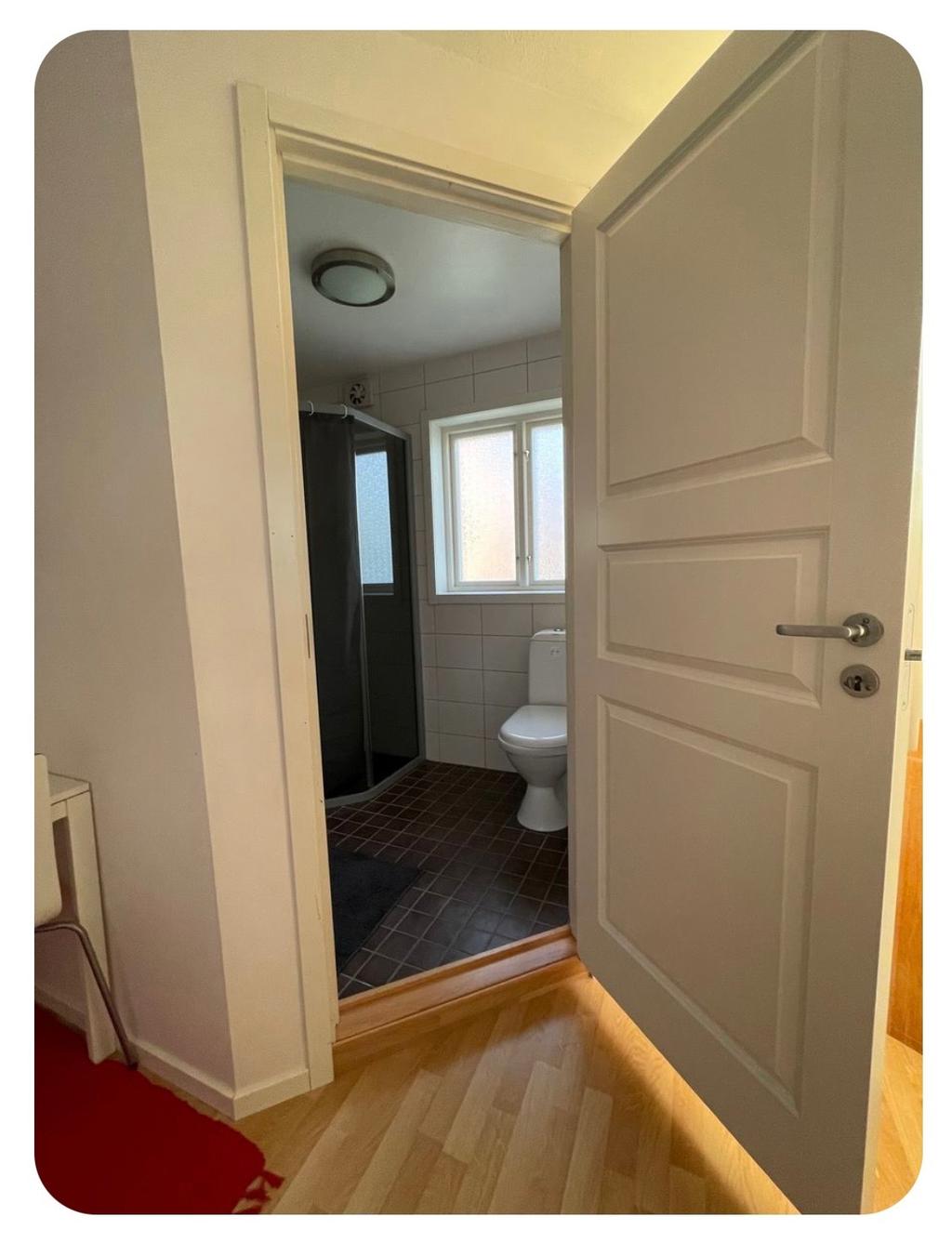 Säljarens bilder