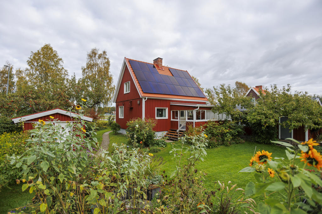 Underbar trädgård