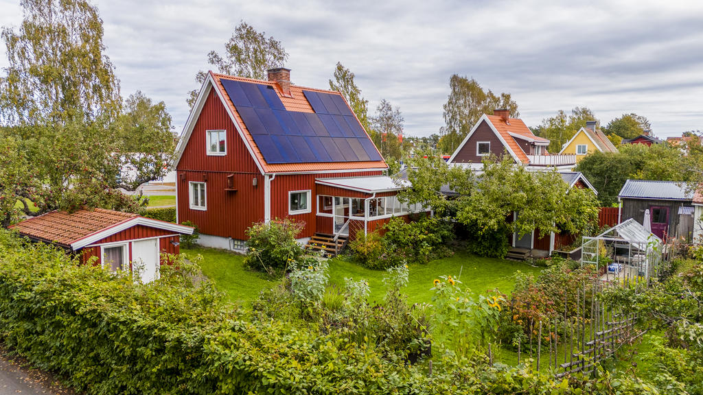 Fin, uppväxt hörntomt