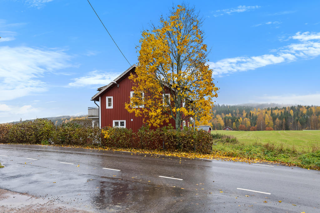 Höstbild. Vy från Rotebergsvägen och fasaden i norr. 