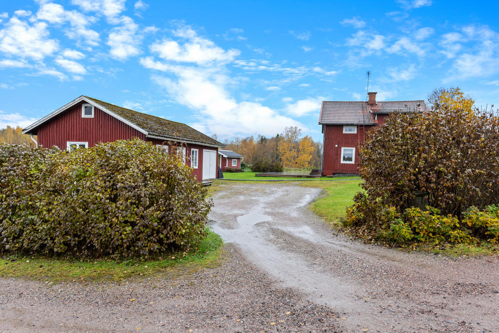 Vy från tomtens infart. 