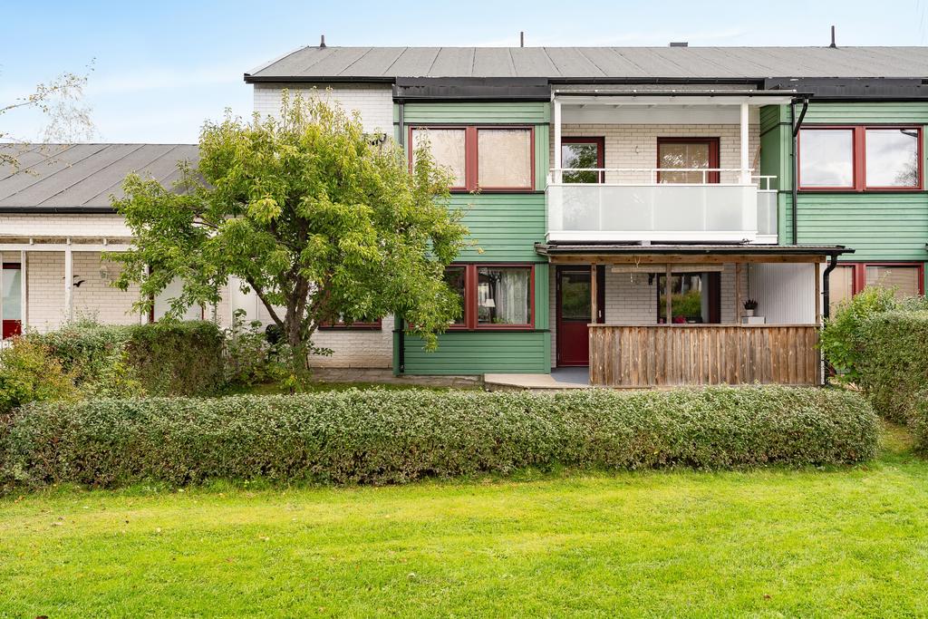 Trivsam trädgårdstäppa med uteplats under tak