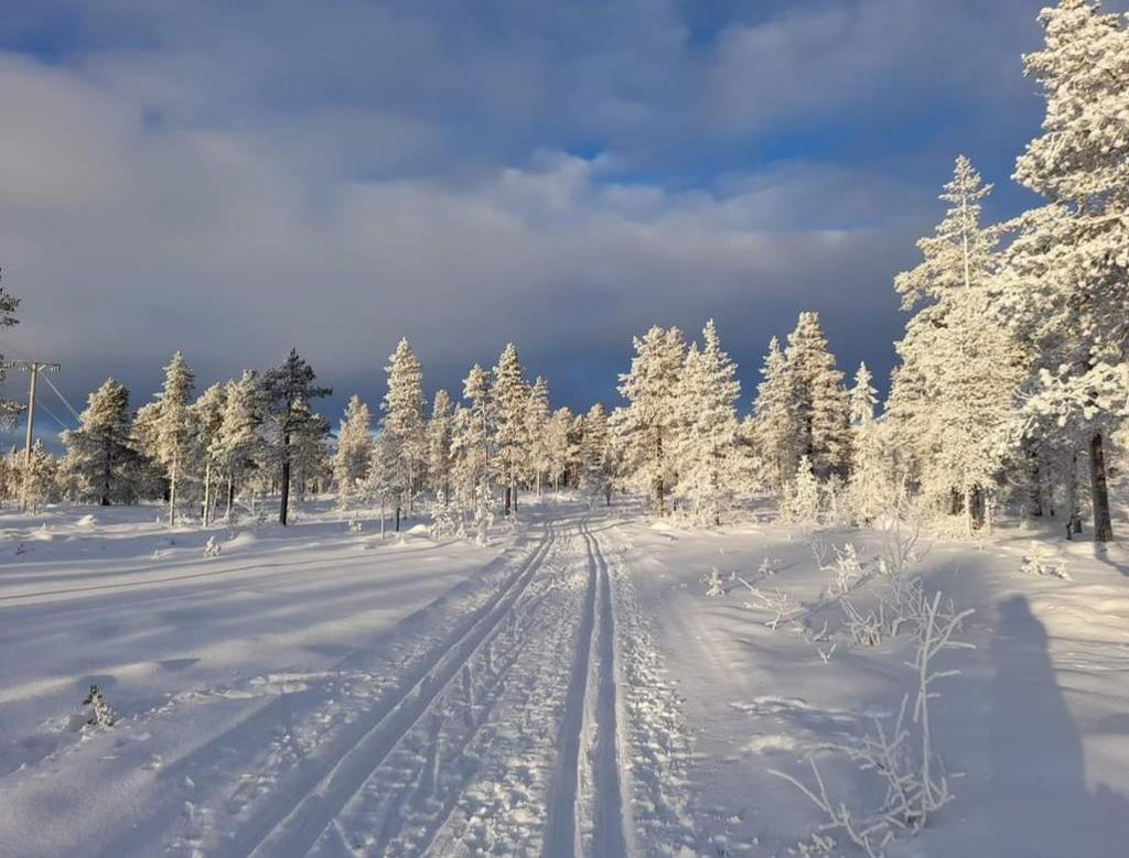 Säljarens egna bild.