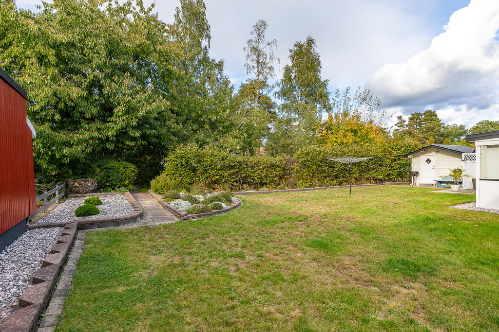 Trädgård 