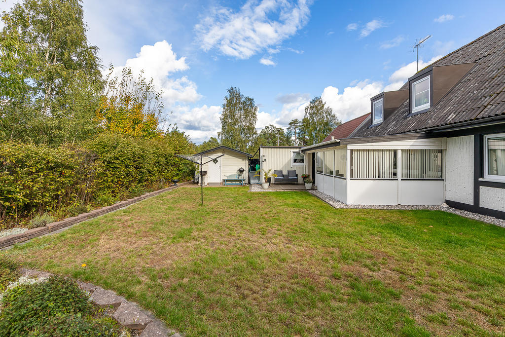Trädgård 