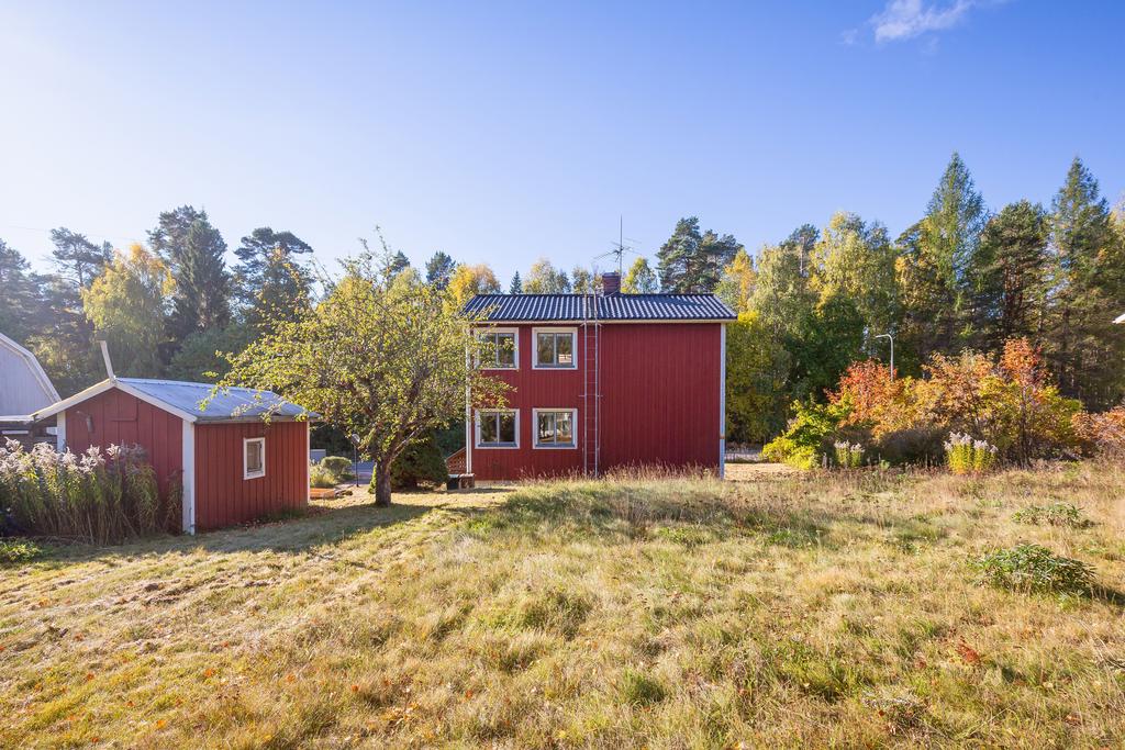 Trädgård med liten bod
