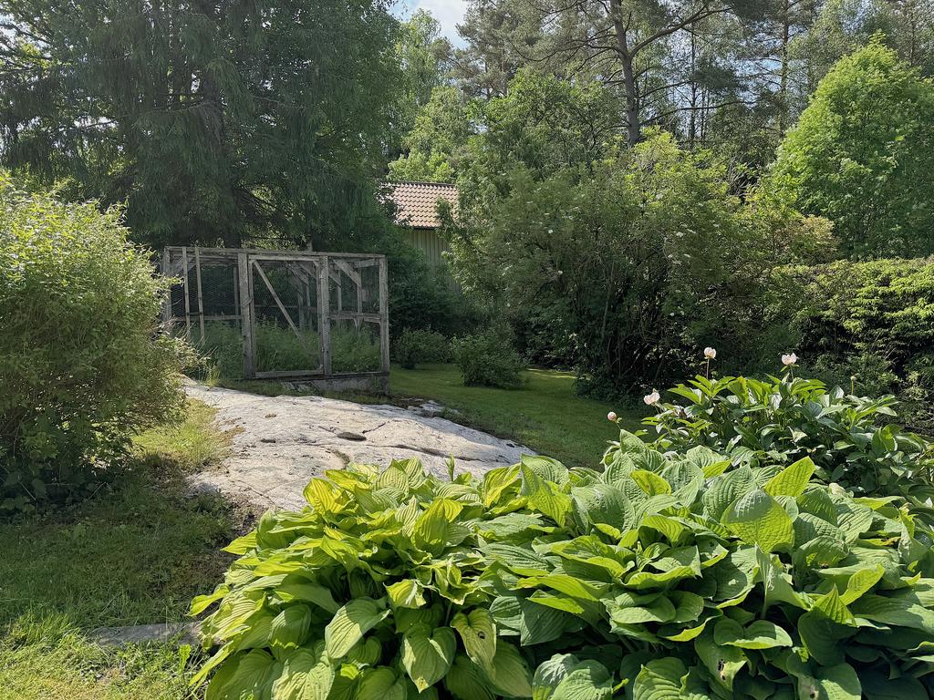 Plats för odling så att inte rådjuren får en smakbit