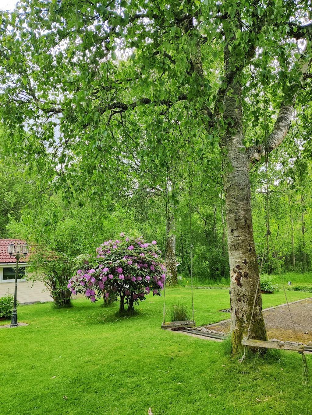 Härliga träd som ger naturlig gungplats till barnen ( säljarens bild) 