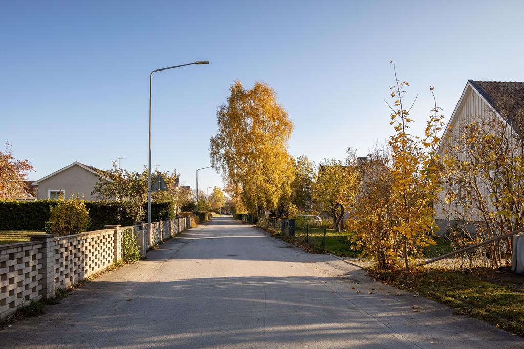 Bild från gatan