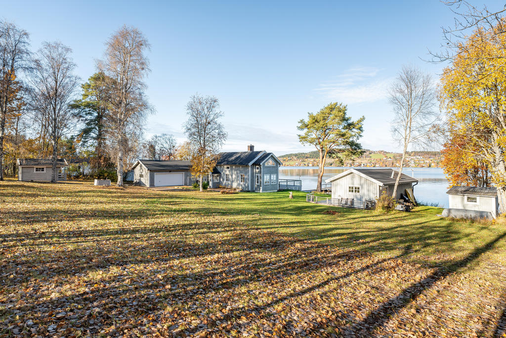 Stor trädgård!