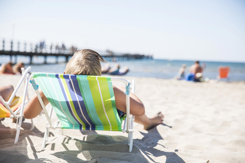 Strandliv på Skrea strand