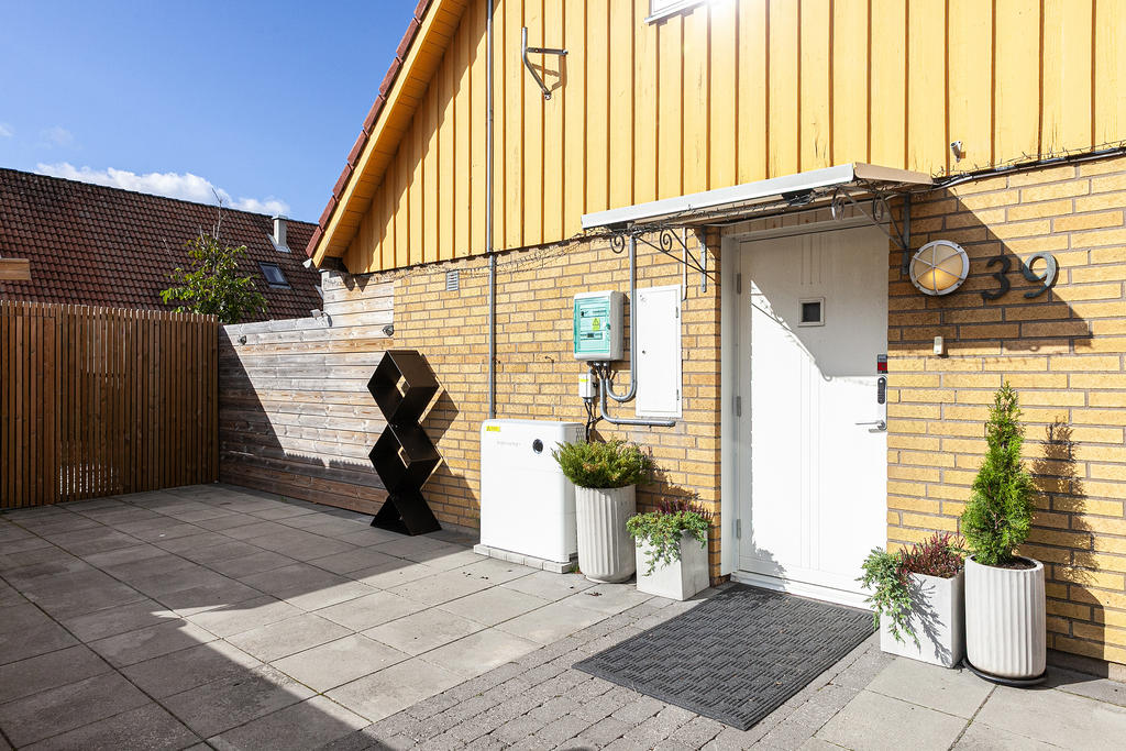 Groventré mellan tvättstuga och sopstationen