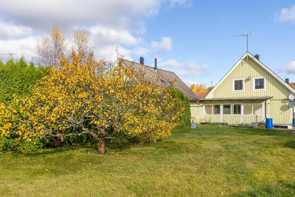 Egen täppa på baksidan