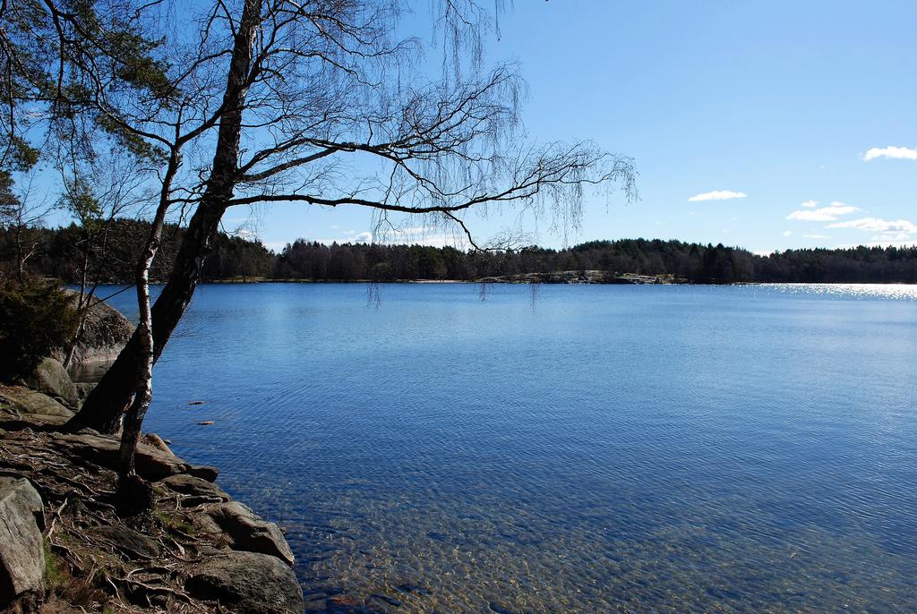 Gångavstånd till badsjön Sisjön