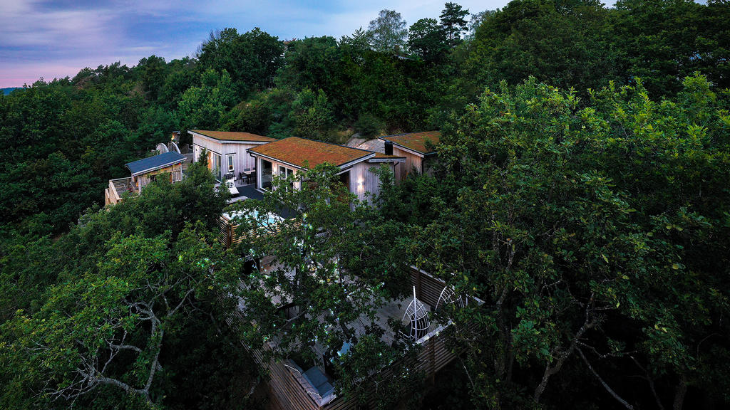 Treetop Spa Hangout & Hotel