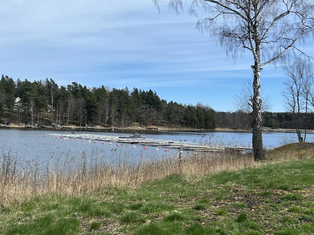 Båtbrygga i området