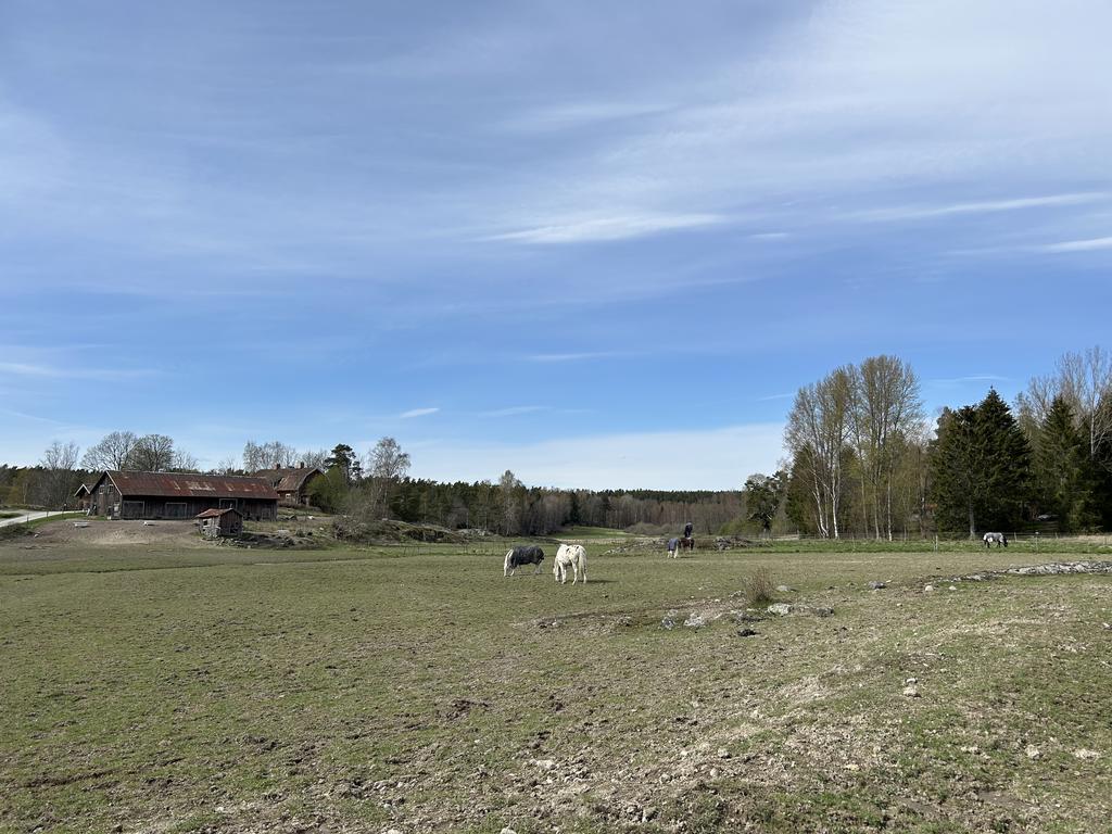 Hästhagar i området