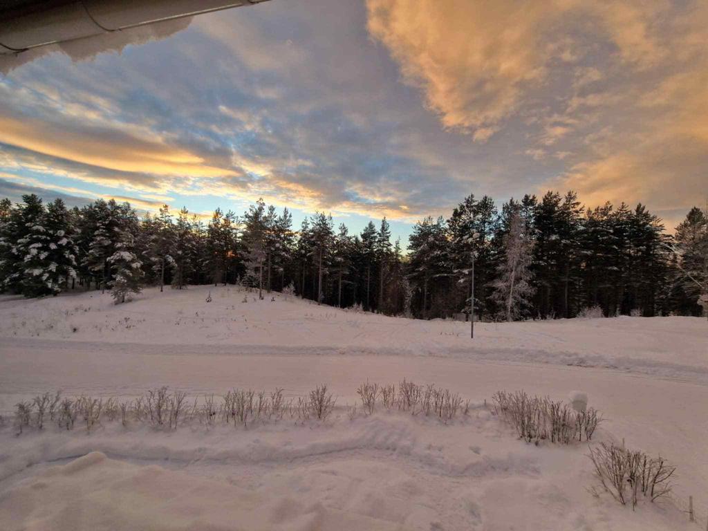 Säljarens bilder