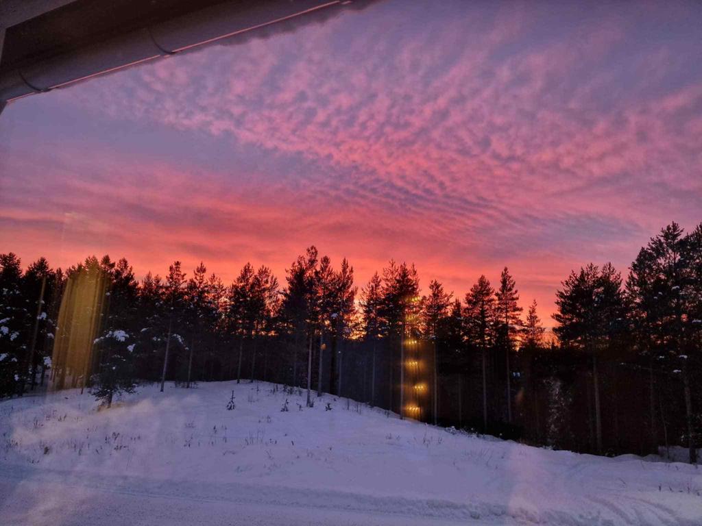 Säljarens bilder