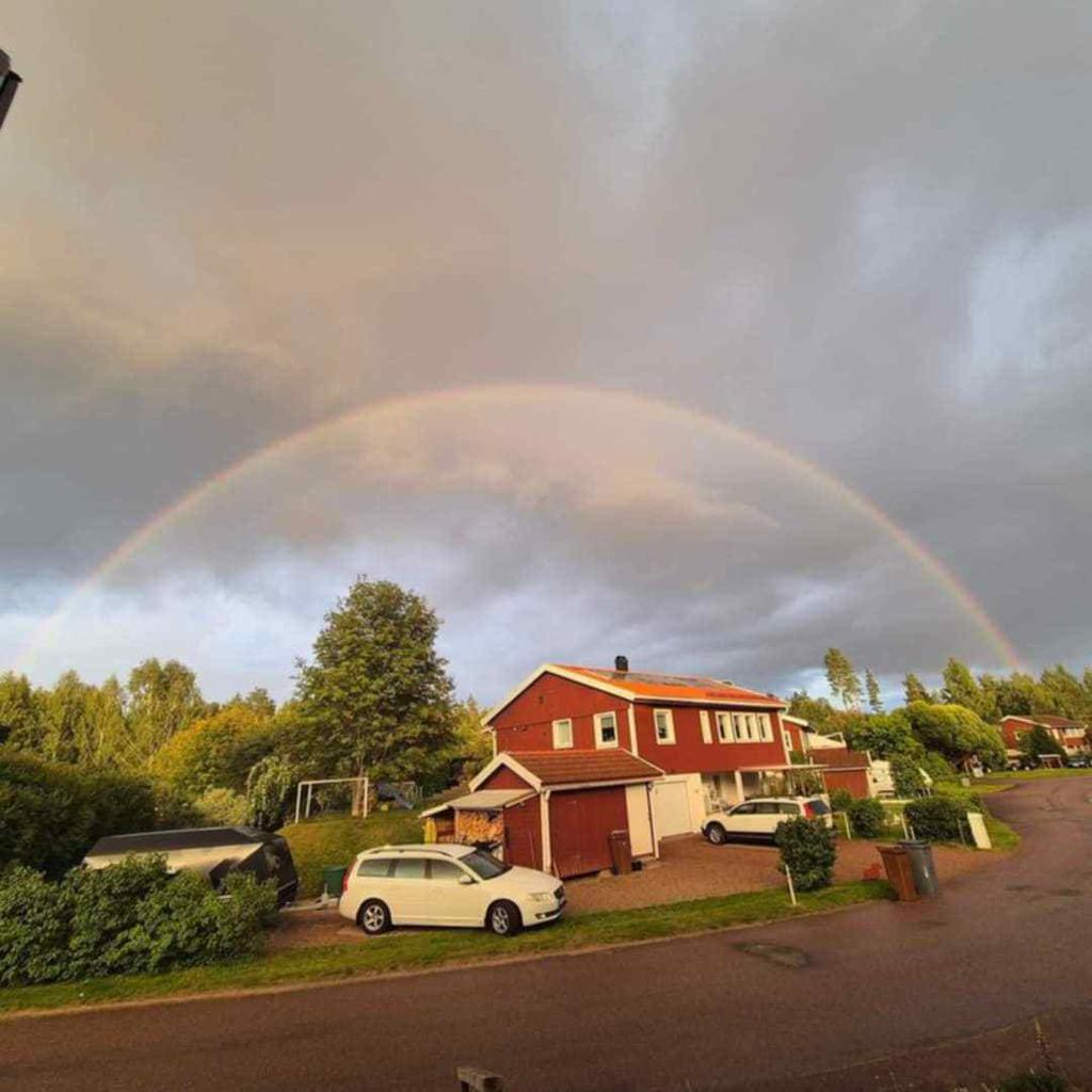 Säljarens bilder