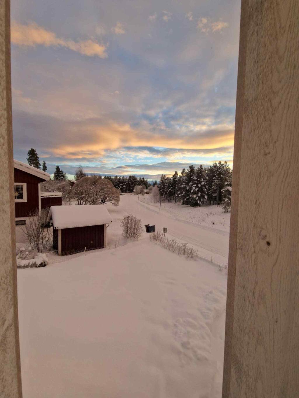 Säljarens bilder