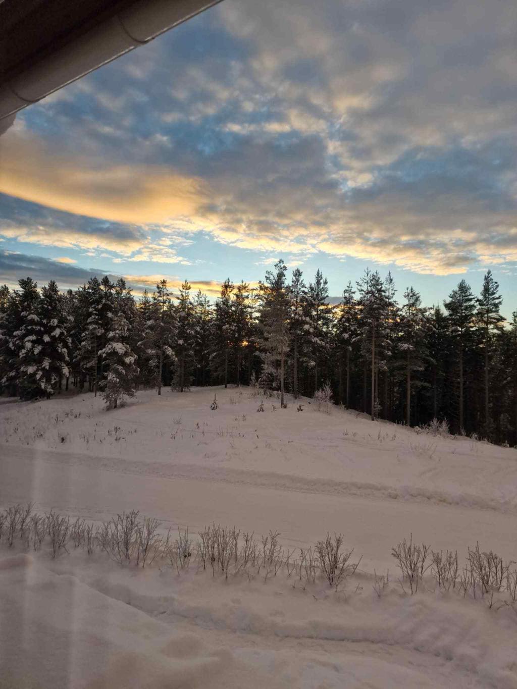 Säljarens bilder