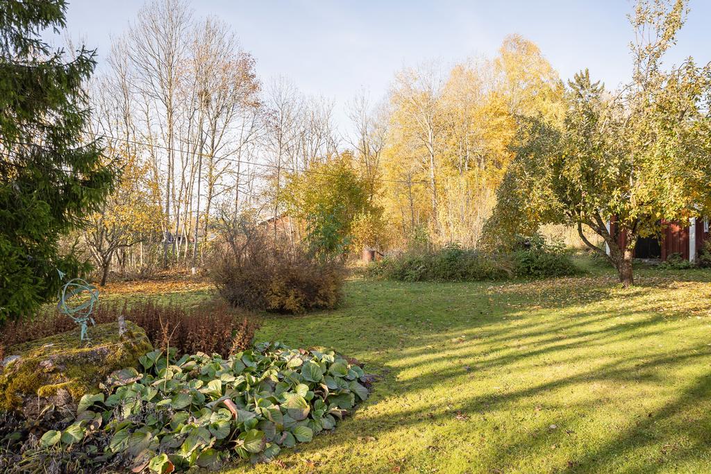 Trädgård på husets baksida