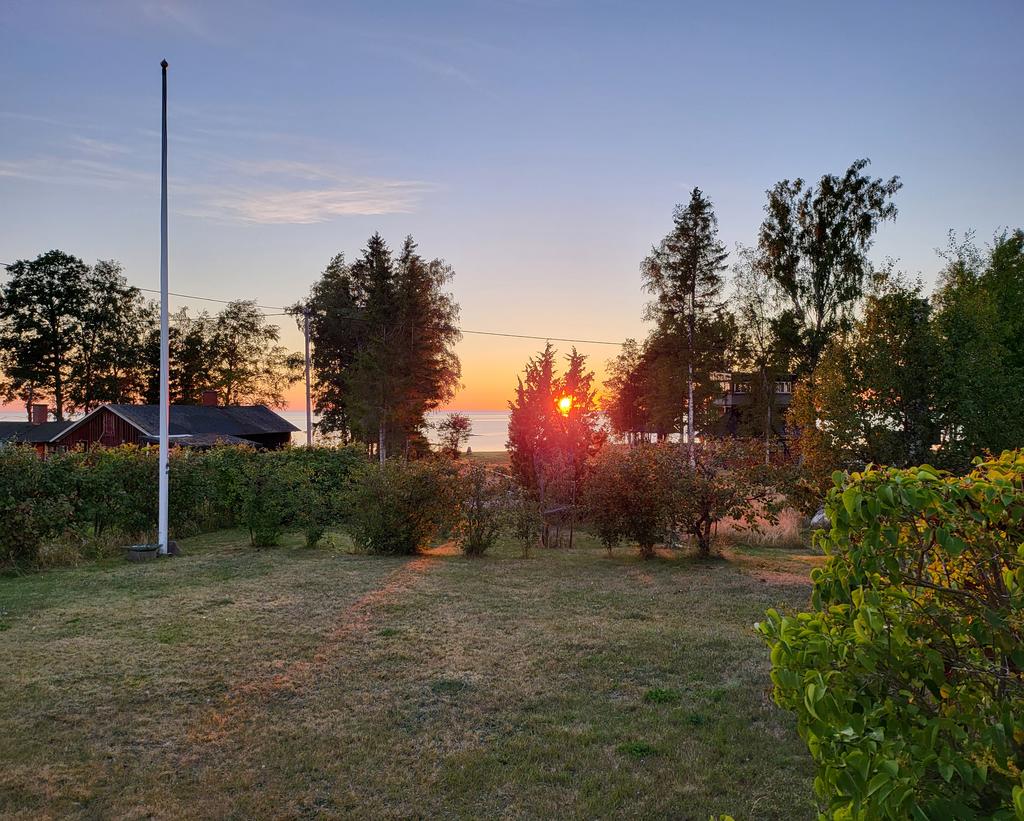 Säljarens bild