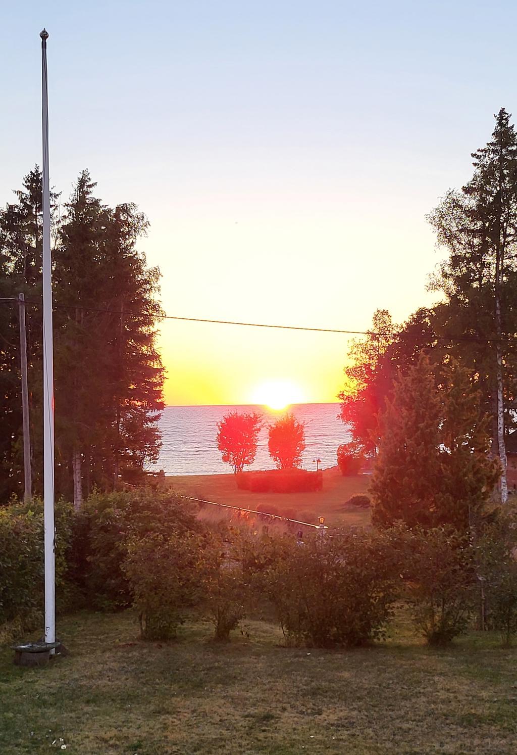 Säljarens bild