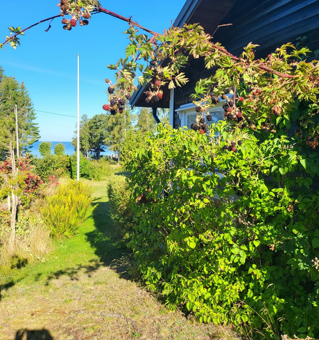 Säljarens bild