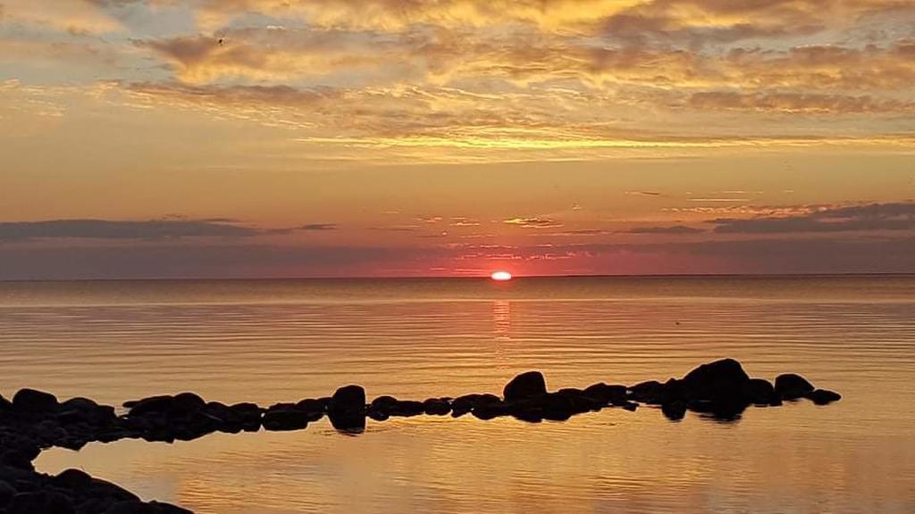 Säljarens bild