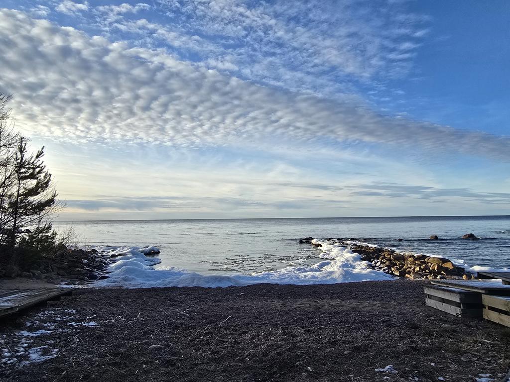 Säljarens bild