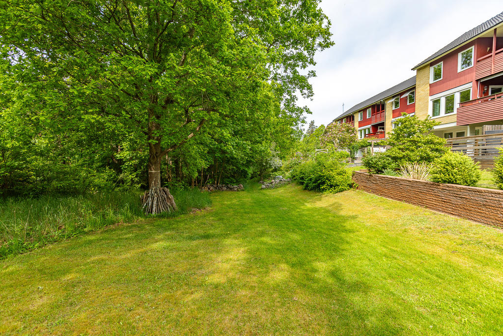 Grönområde på baksidan som vetter mot skogsdunge