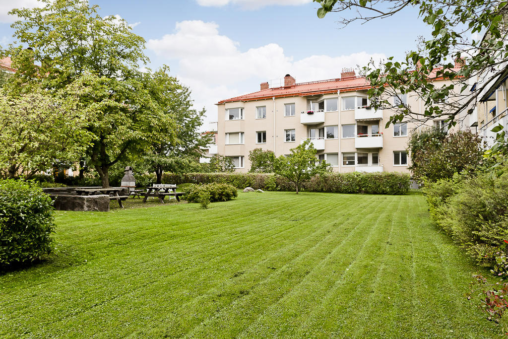Föreningens gemensamma innergård.