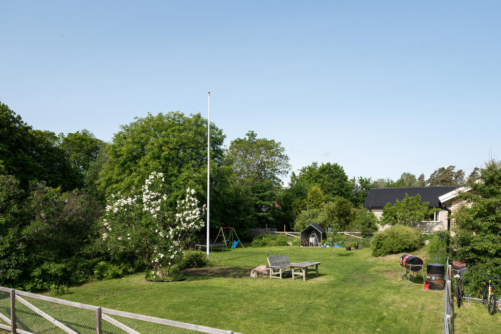 Trädgård.