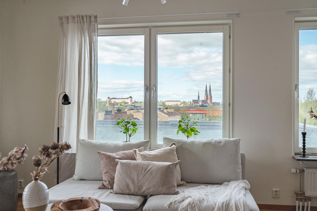 Utsikt mot både slottet och Domkyrkan.