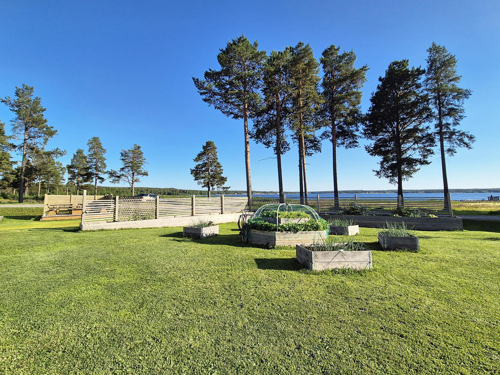 Säljarens egen sommarbild