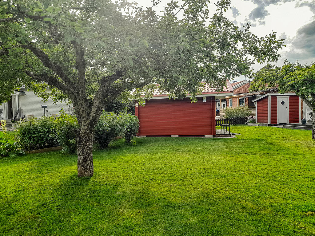 Säljarens sommarbild