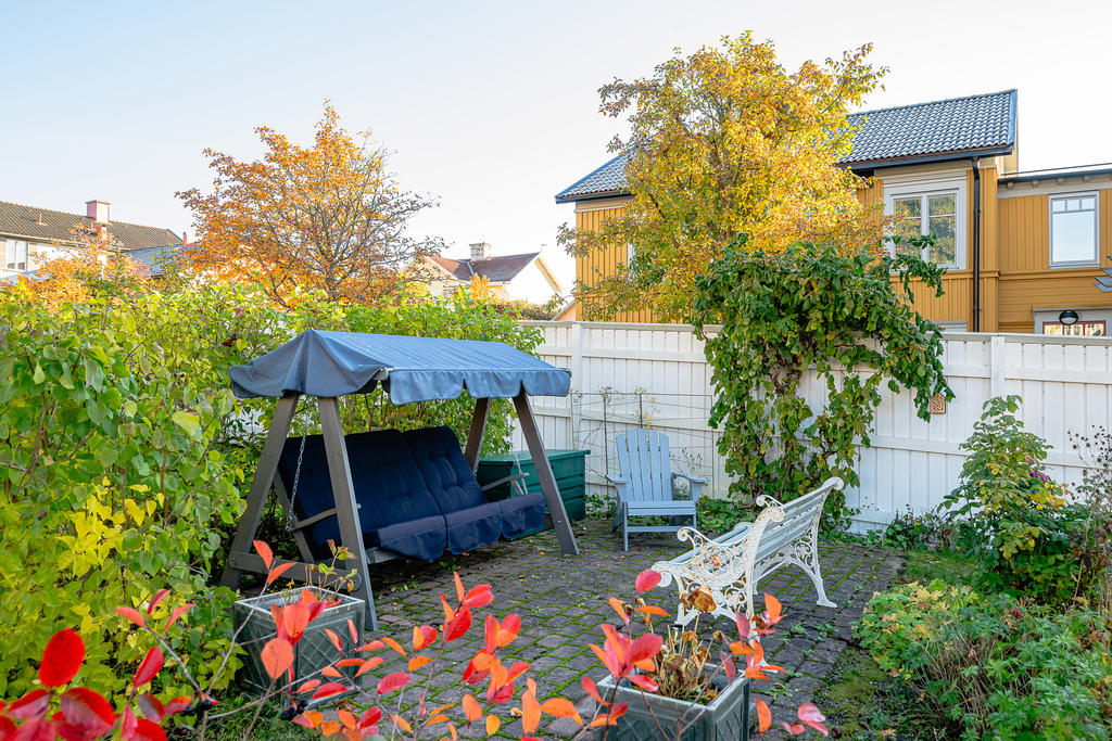 Syrénberså med hammock