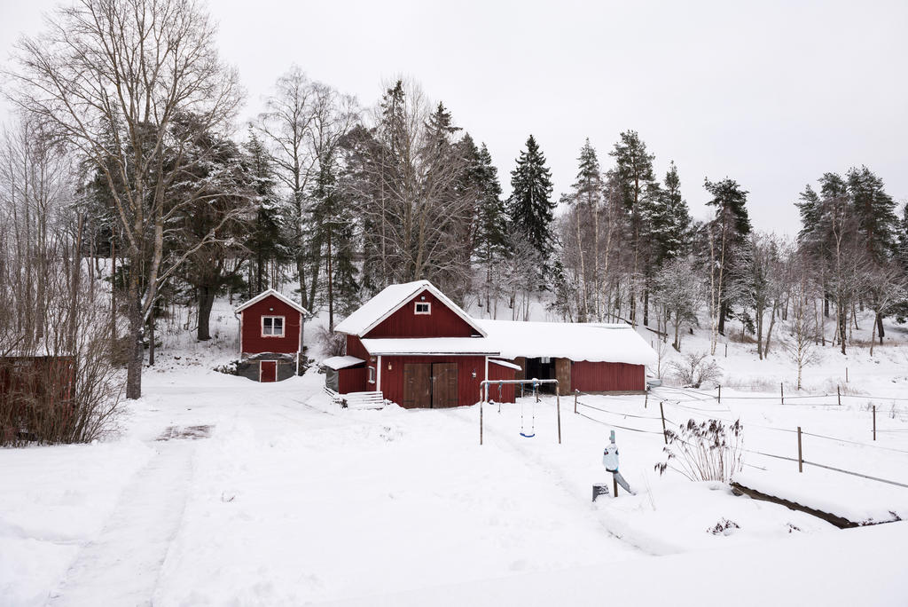 Jordkällare med gästrum och stall. 