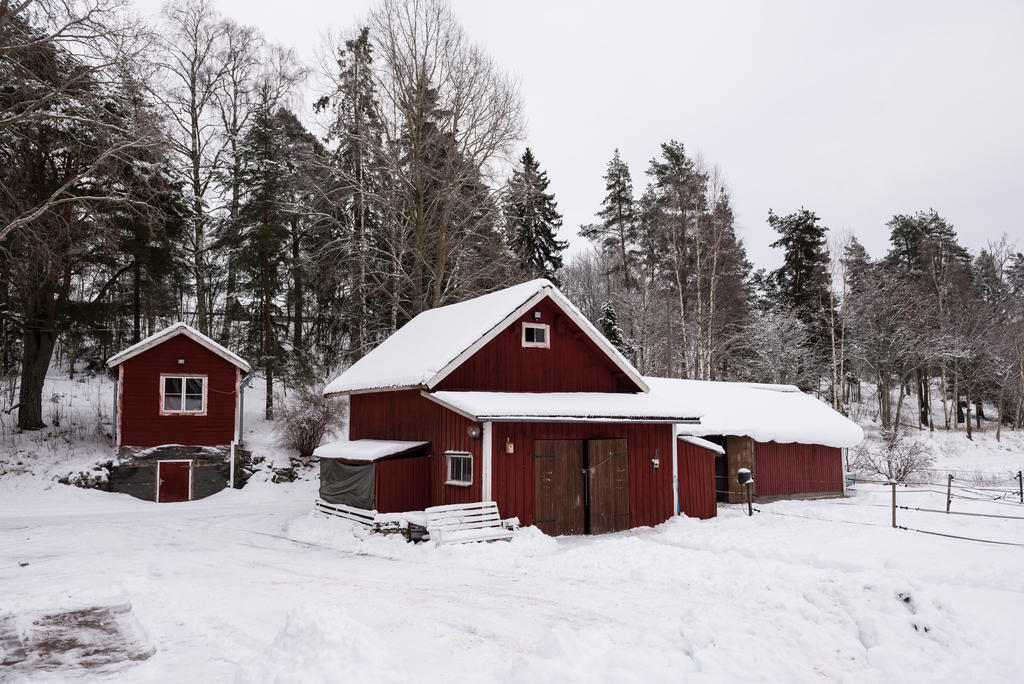 Jordkällare med gästrum och stall. 