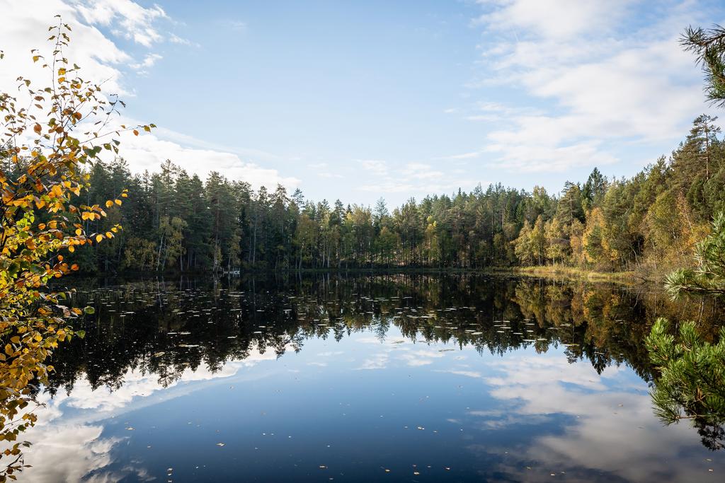 Fin badsjö på 5 min promenadavstånd. 