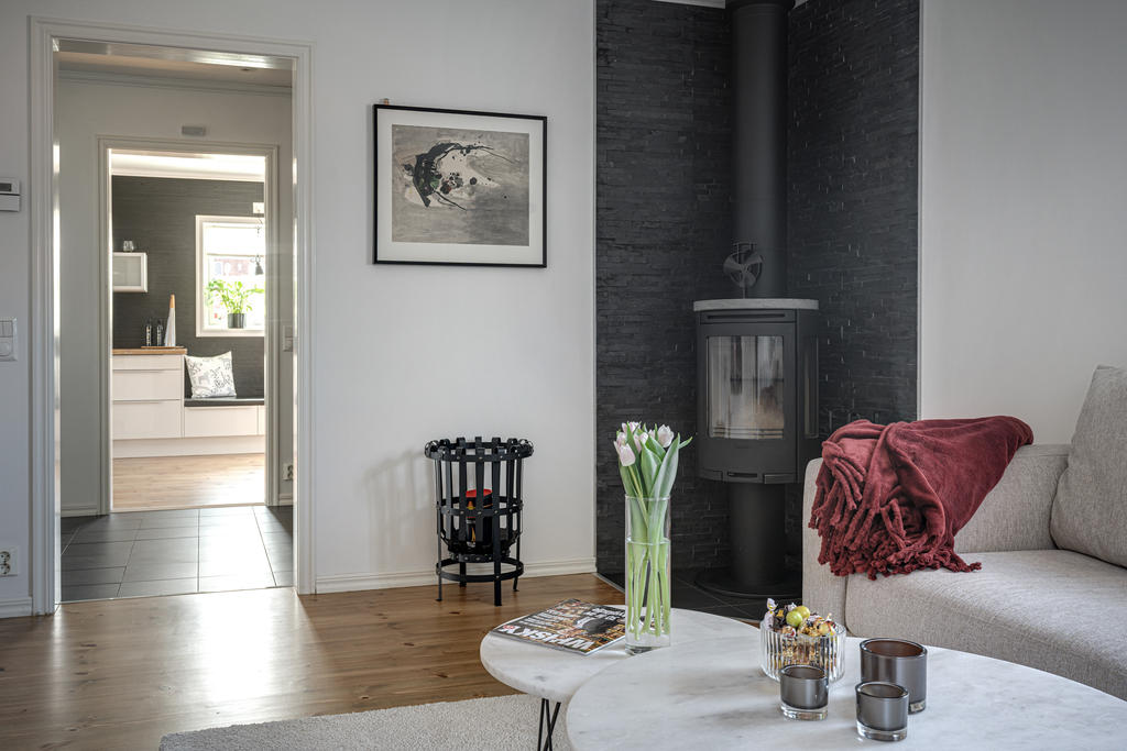 Mysig kamin i allrummet